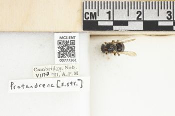 Media type: image;   Entomology 777361 Aspect: Labels